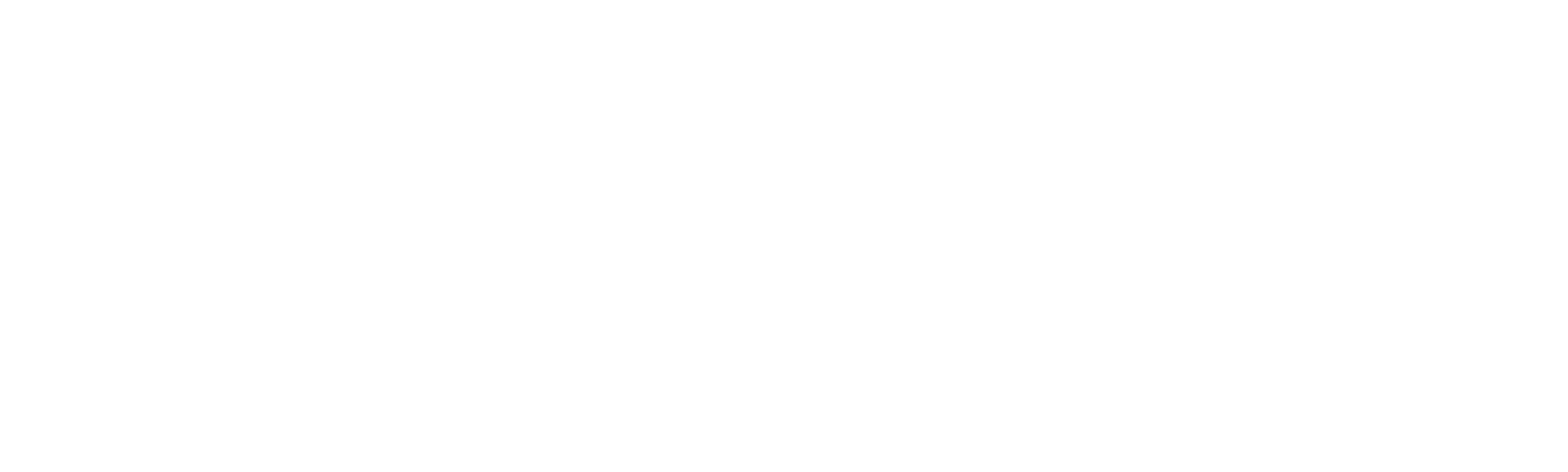 bot inty
